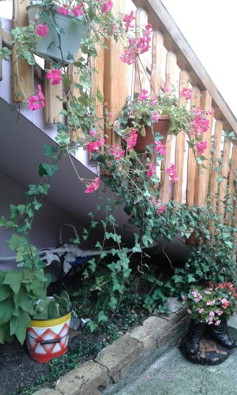 Apartment Centar